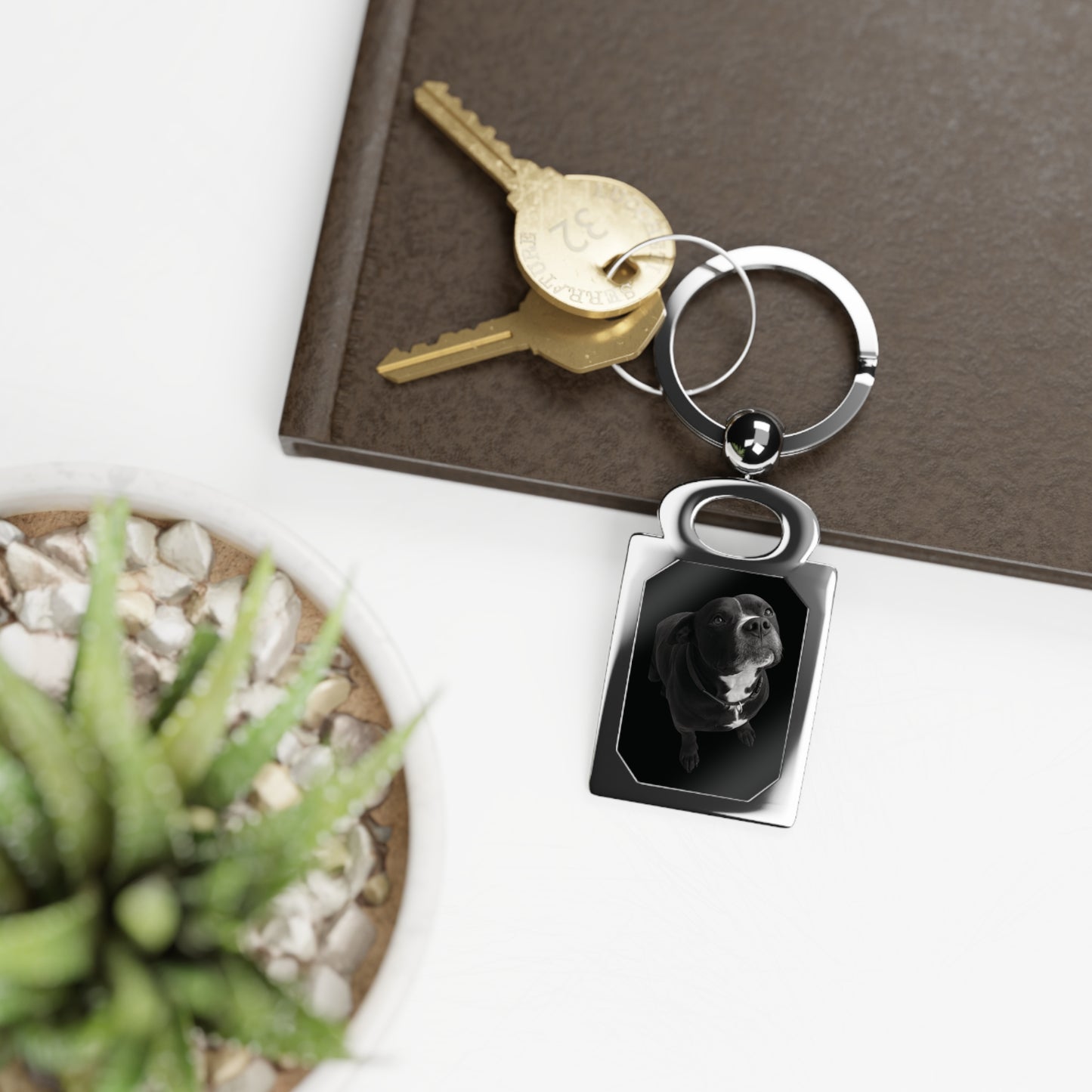 [DB x LA] | Ern Key Solution